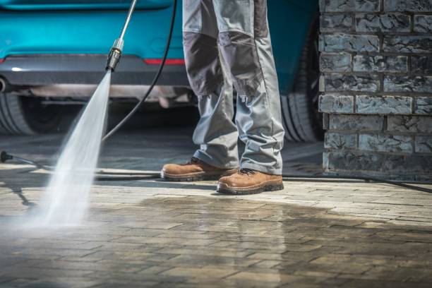 Best Warehouse Cleaning  in Penitas, TX