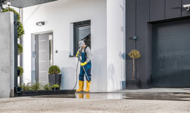 Trusted Penitas, TX  Pressure Washing Services Experts
