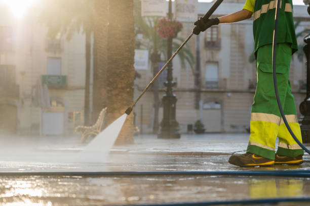 Best Sidewalk and Walkway Cleaning  in Penitas, TX